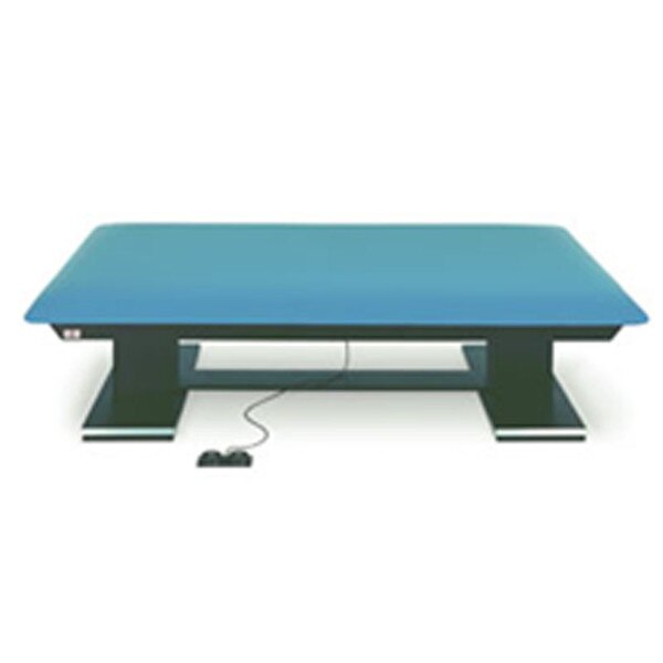 Hausmann Dual Lift Powermatic Bariatric Electric HiLo Mat Platform