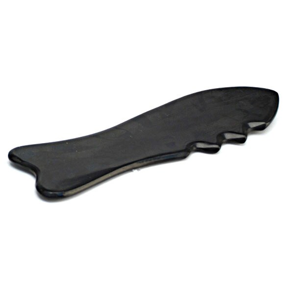 Guasha Shark