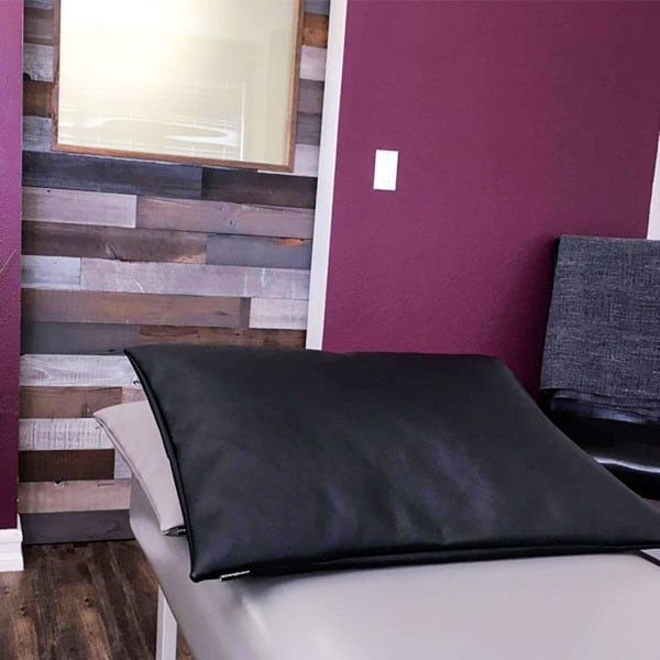 EcoPro Naugahyde Pillow Cover
