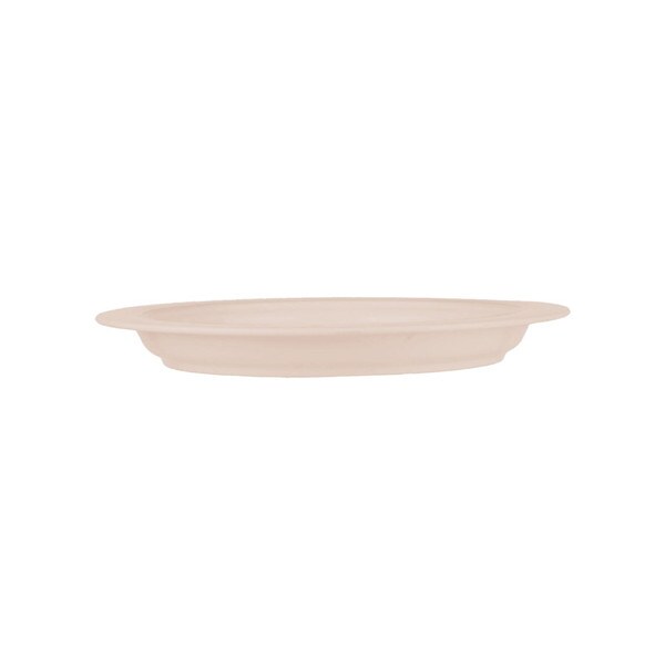 Plate w/Inside Edge 9" Off-White