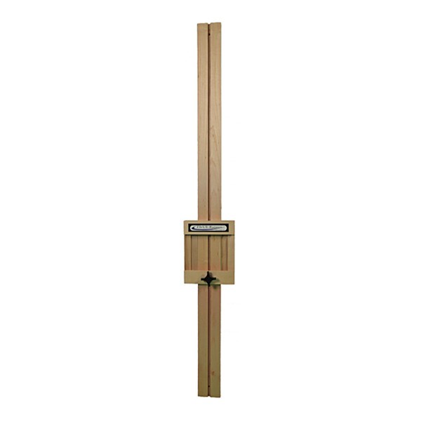 Clinic Wall Mount for UE Ranger
