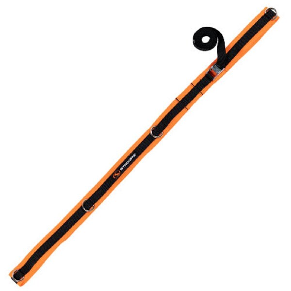 Spine Strap